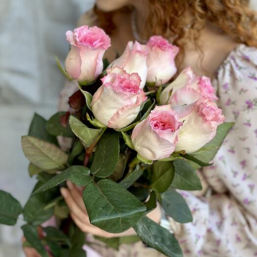 7 Нежных Розовых Роз