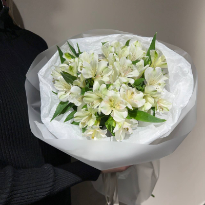 МоноБукет из белых альстромерий 5шт
