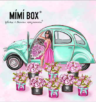Mimi box - логотип