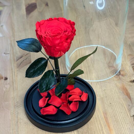 Роза в колбе мини алая