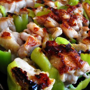 Шашлык куриный из тонэ