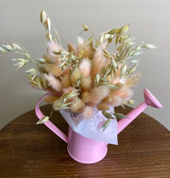 Леечка сухоцвет