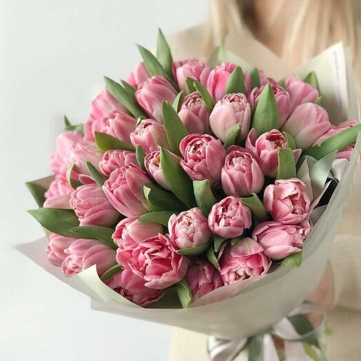 Букет из тюльпанов 25 шт