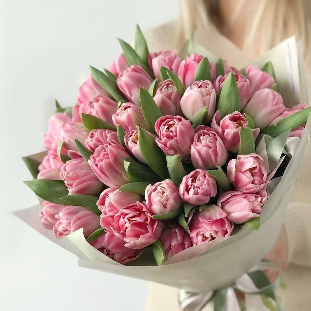 Букет из тюльпанов 25 шт