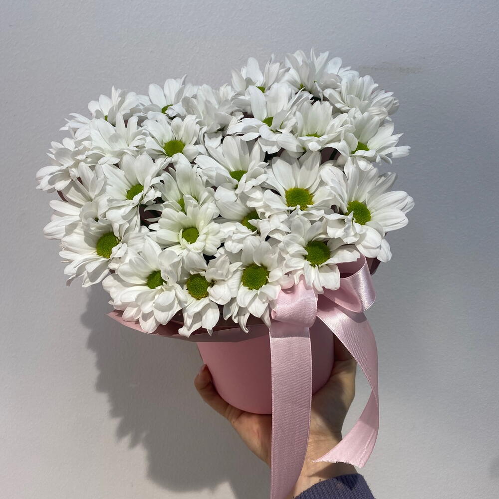 Моно композиция из ромашковой хризантемы S