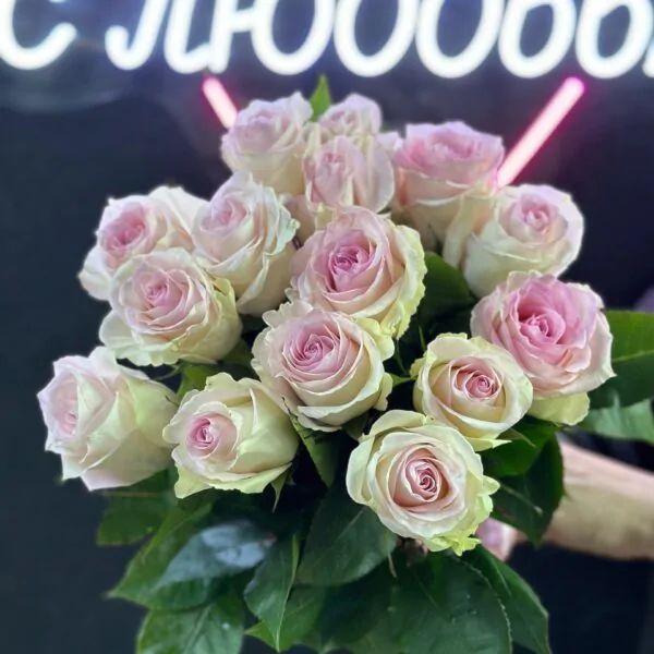 Букет из 15 нежно-розовых роз на нежной ленте