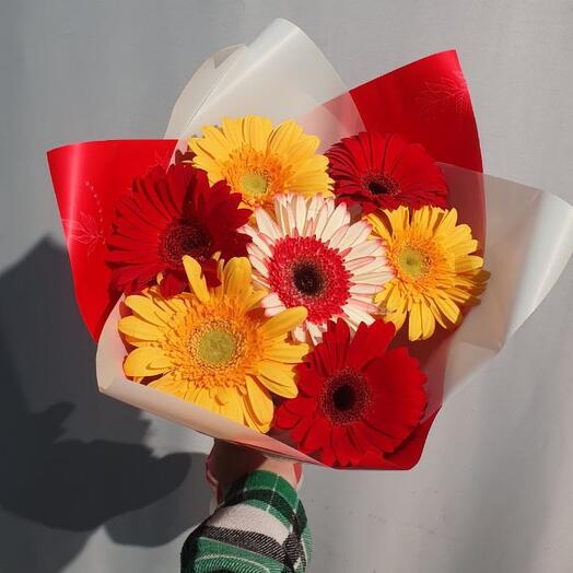 Солнышко Моё