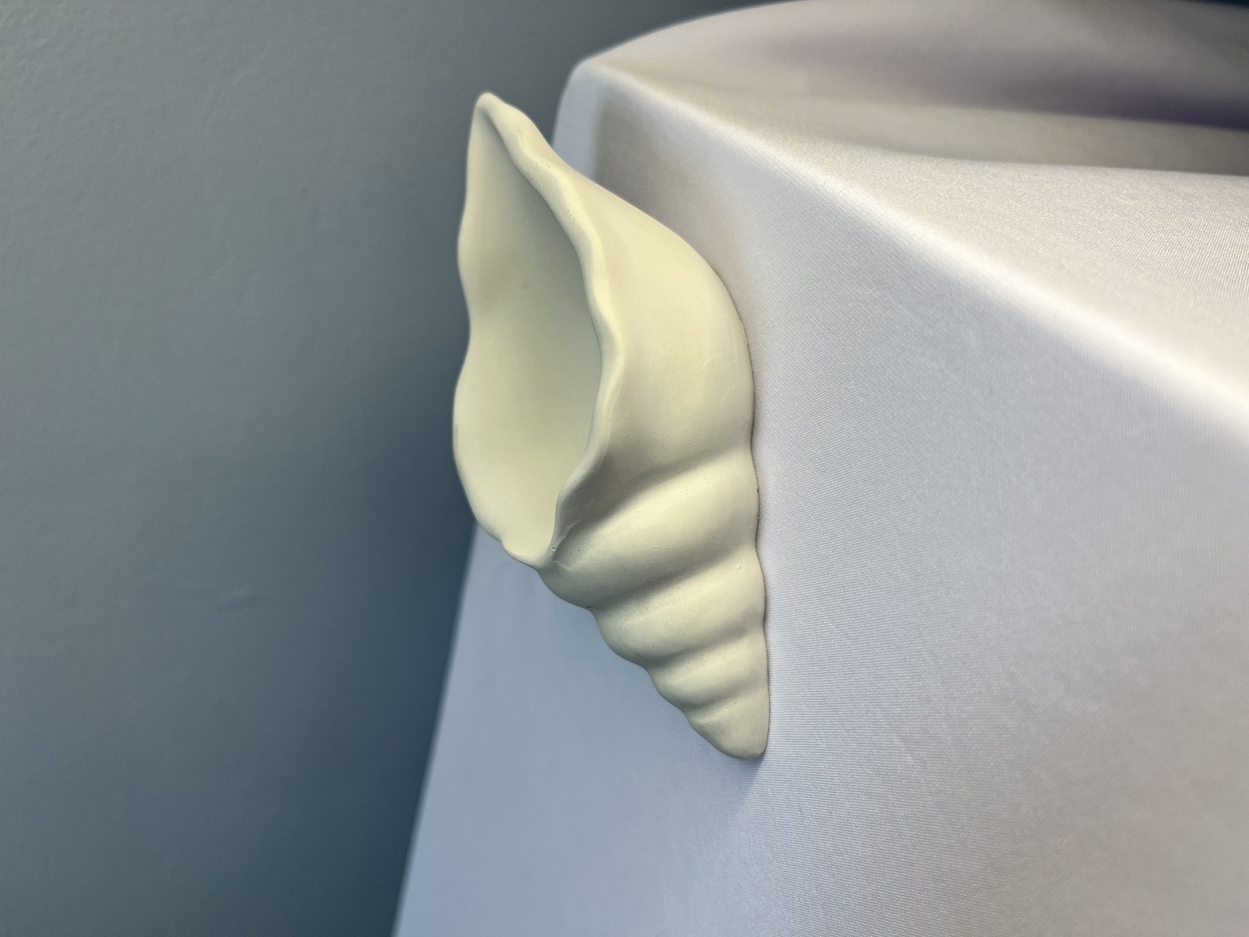 Ракушка из гипса