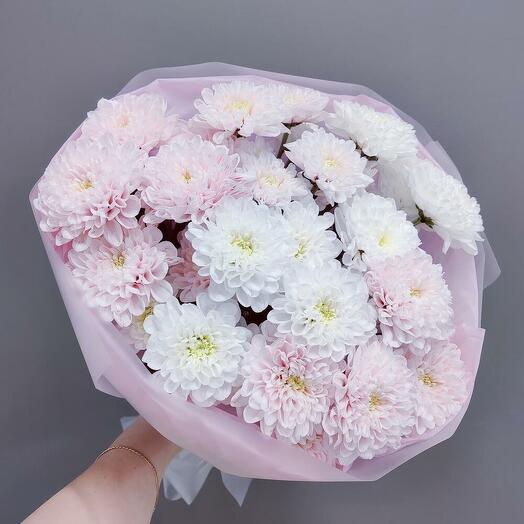 Хризантема