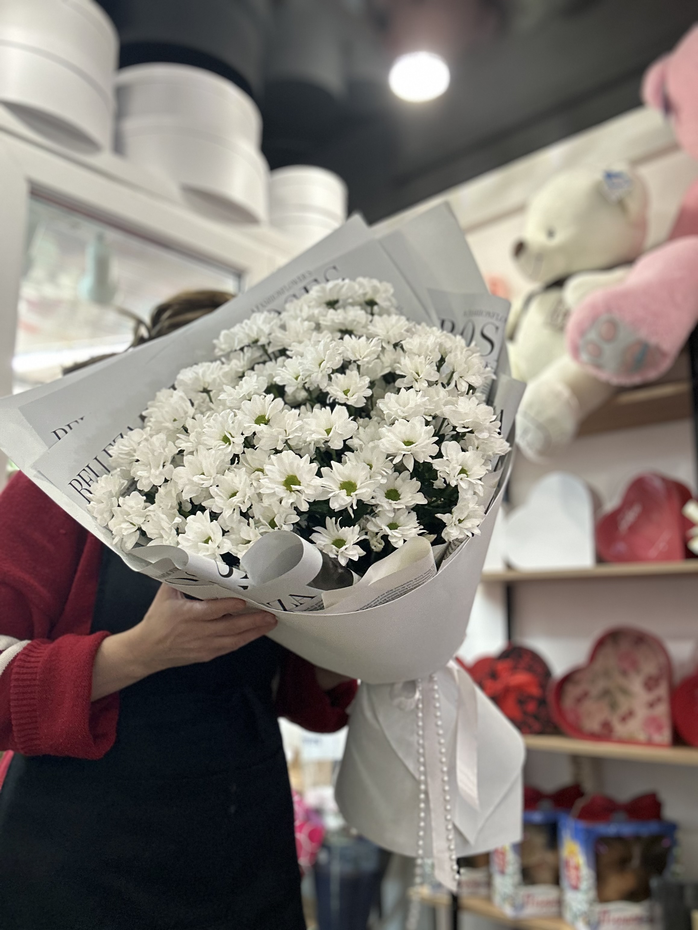 Хризантем рамашка 