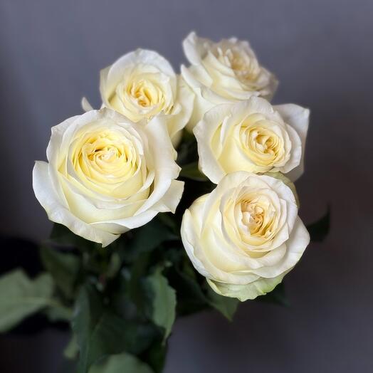 Роза кэндилайт 5 шт