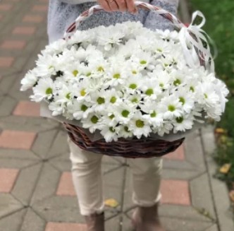 Корзина белых ромашек