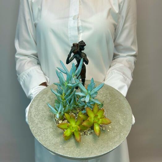 «Девушка с кувшином» композиция из суккулентов в бетоне