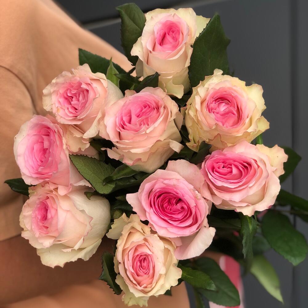 Роза "Мандала" 9 шт Кения