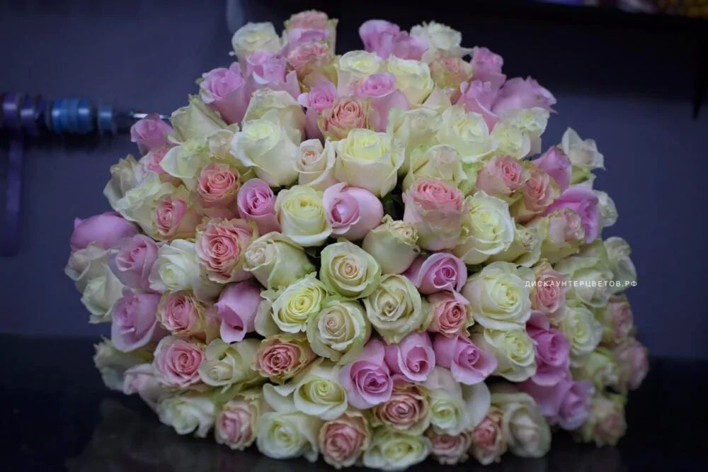 Букет из 101 нежно-розовой и кремовой розы в нежных постельных тонах на нежной ленте