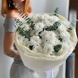 Алтай и эвкалипт XL