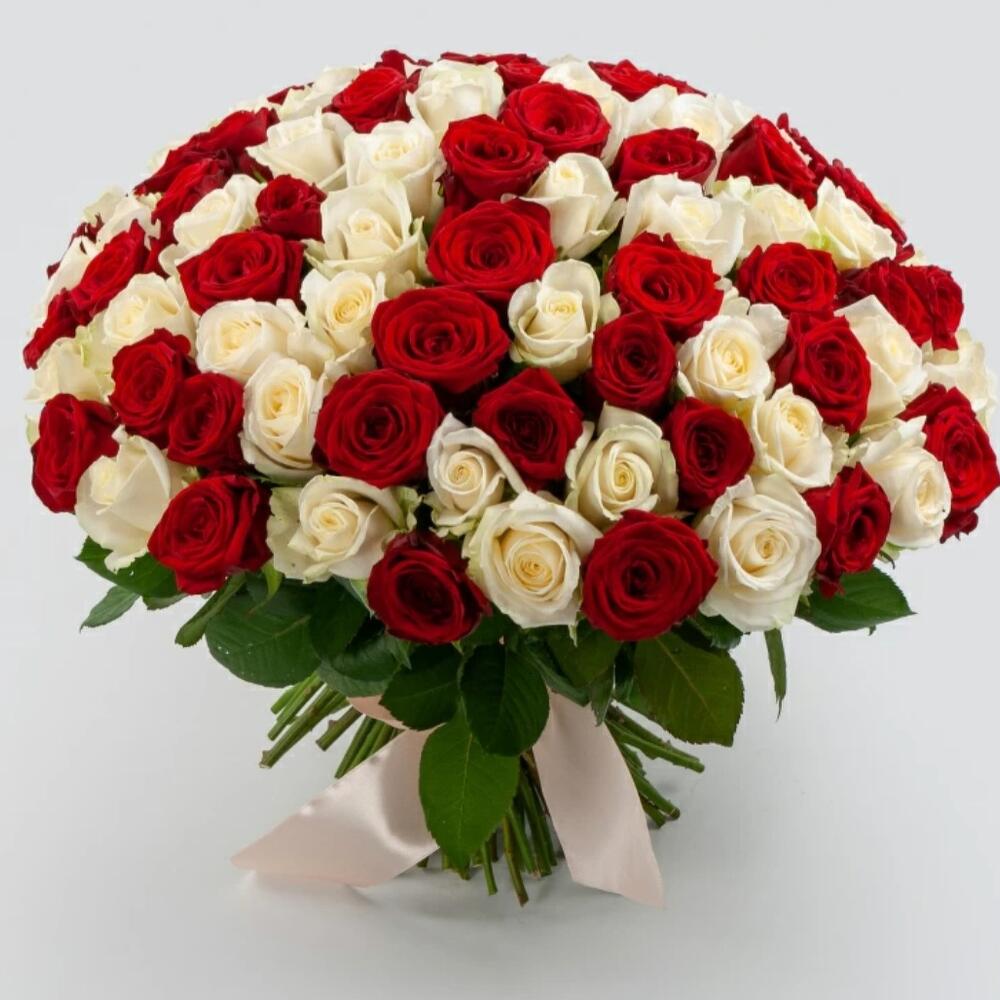 101 роза микс