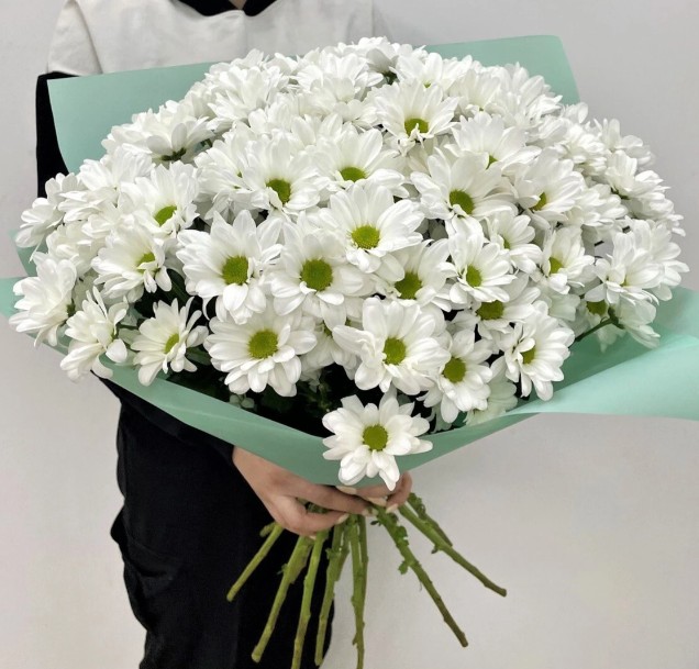 Букет из 15 Хризантем