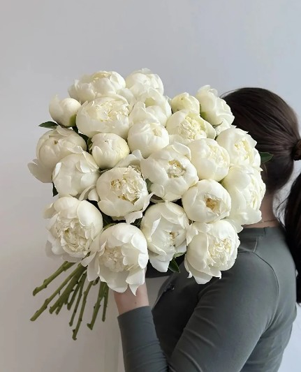 Букет из 25 белых пионов