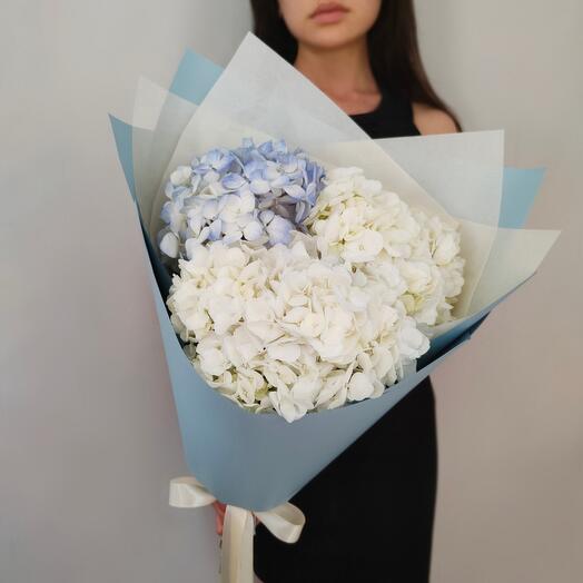 Букет из 3 гортензий белого и голубого цветов