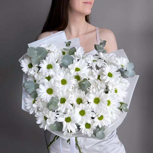 Букет белая кустовая хризантема ромашка и эвкалипт (б1950)