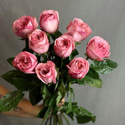 Роза пионовидная PINK XPRESSION 9 шт