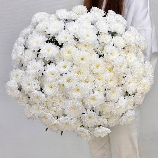 Букет-гигант! + секатор в подарок. 25 веток куст.хризантем