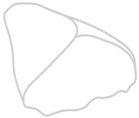 Блин 