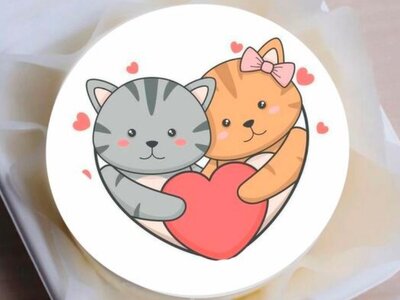 Бенто торт Котики в сердечке