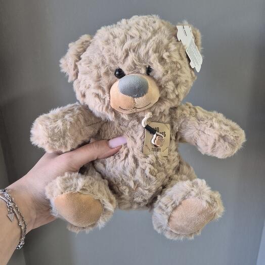 Мишка мягкий 