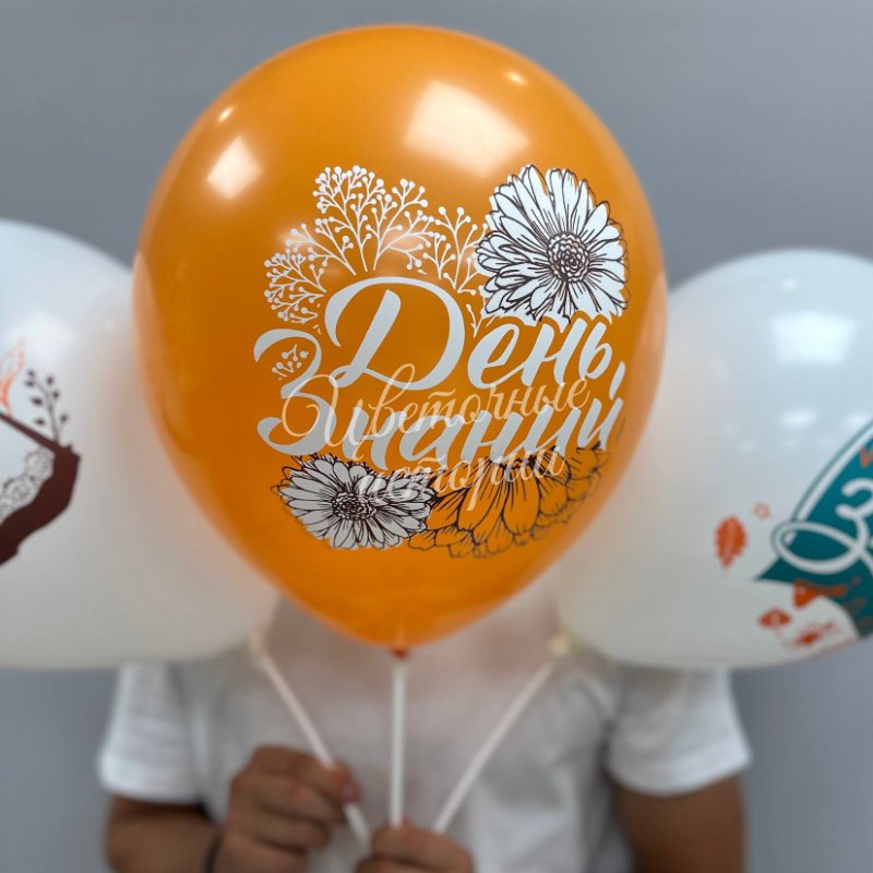 Шары 1 сентября с воздухом на палочке