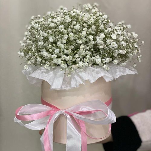 Букет из белой гипсофилы в коробке (к1809)