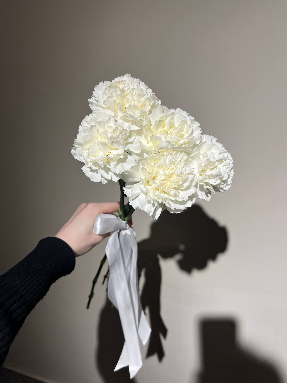 Гвоздики белые 5 шт.