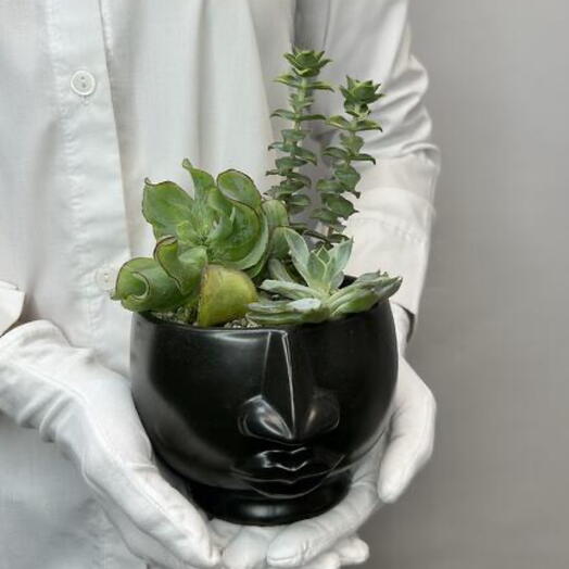 Микс суккулентов «Темное дыхание»