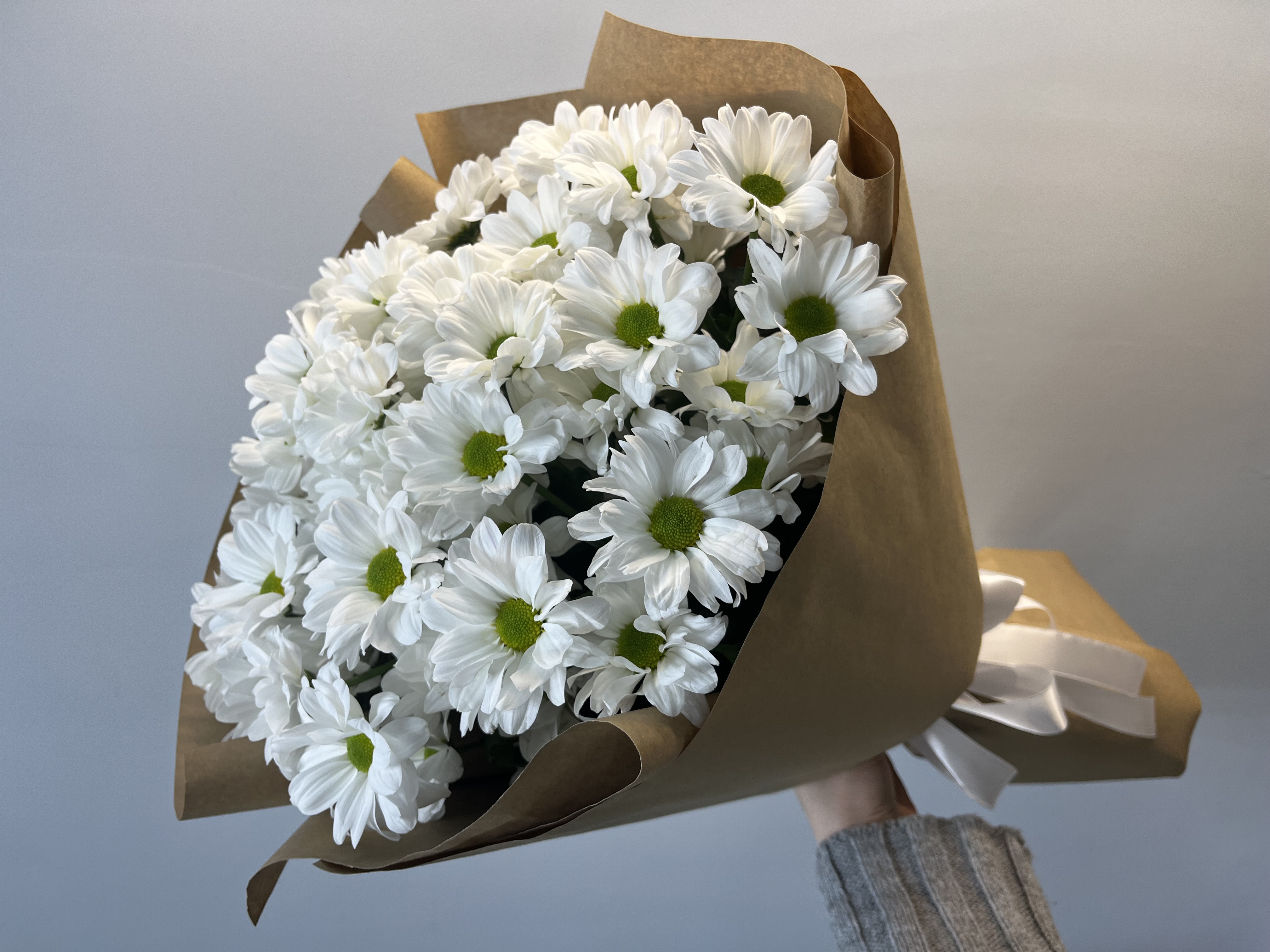 7 кустовых хризантем ромашек в крафте