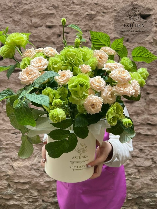 Свежесть утра