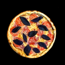 Примавера 43 см