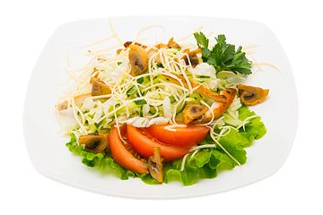 ТЕПЛЫЙ С КУРИЦЕЙ