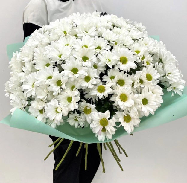 Букет из 25 Хризантем