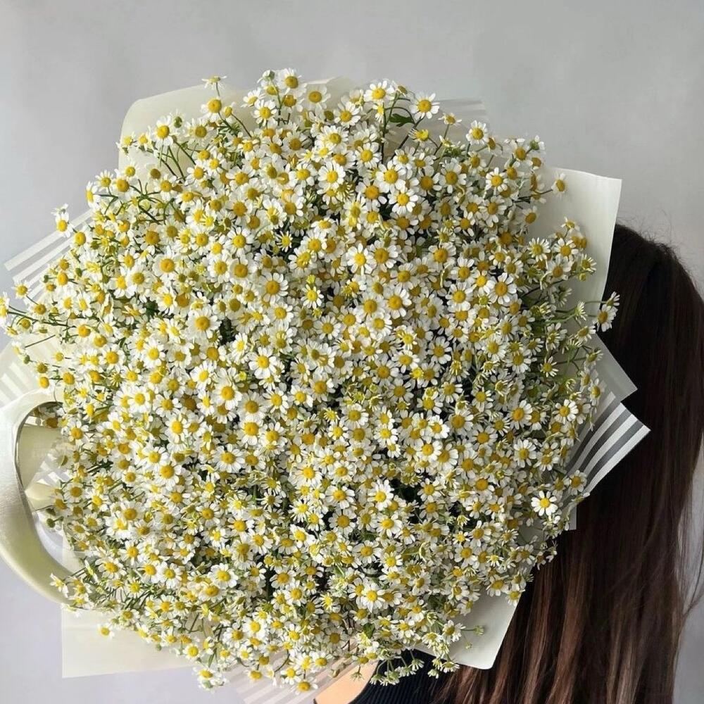 Букет из ромашек