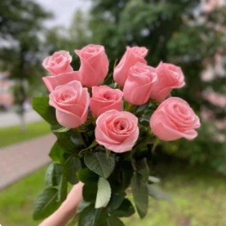 Букет из 9 розовых роз на ленте