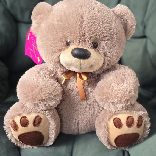 Мишка косолапый