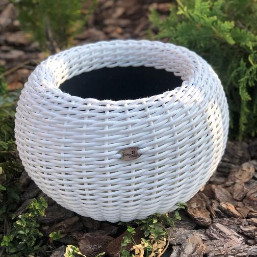 Кашпо из ротанга ручной работы 12литров