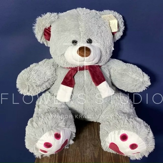 Медведь Кельвин