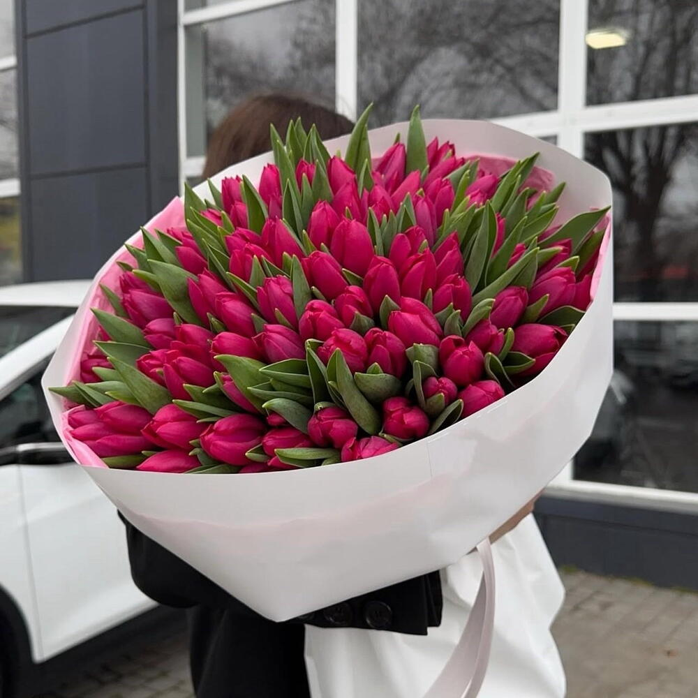 101 алый тюльпан