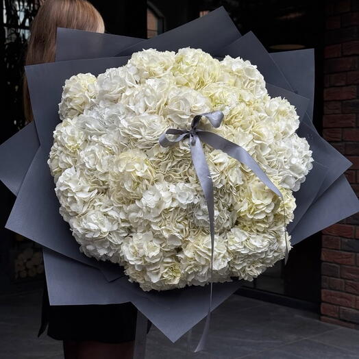 51 гортензия белая букет гигант