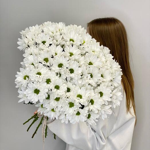 «Smile» букет из ромашковых хризантем 15шт