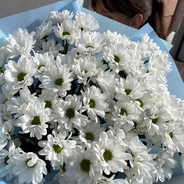 Букет "Ромашки" - 9 шт.