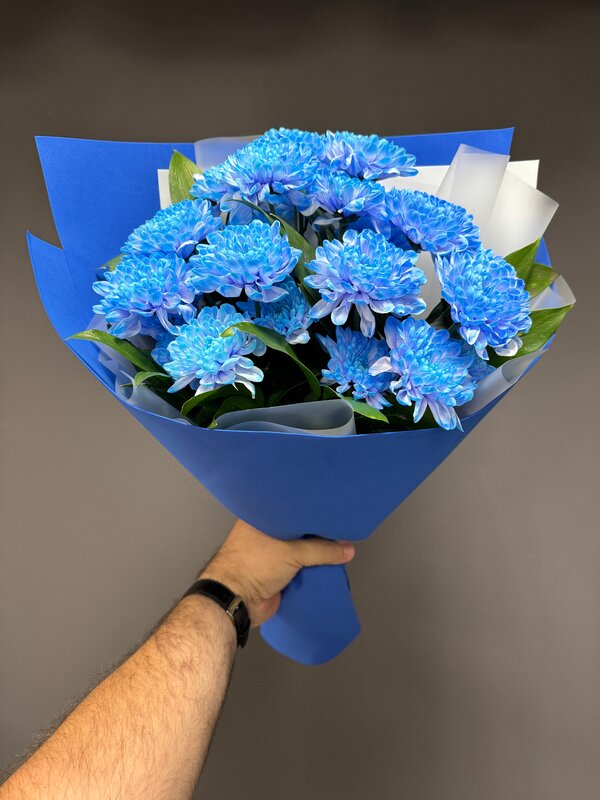 Букет из 3 радужных хризантем с рускусом в бело-синей упаковке