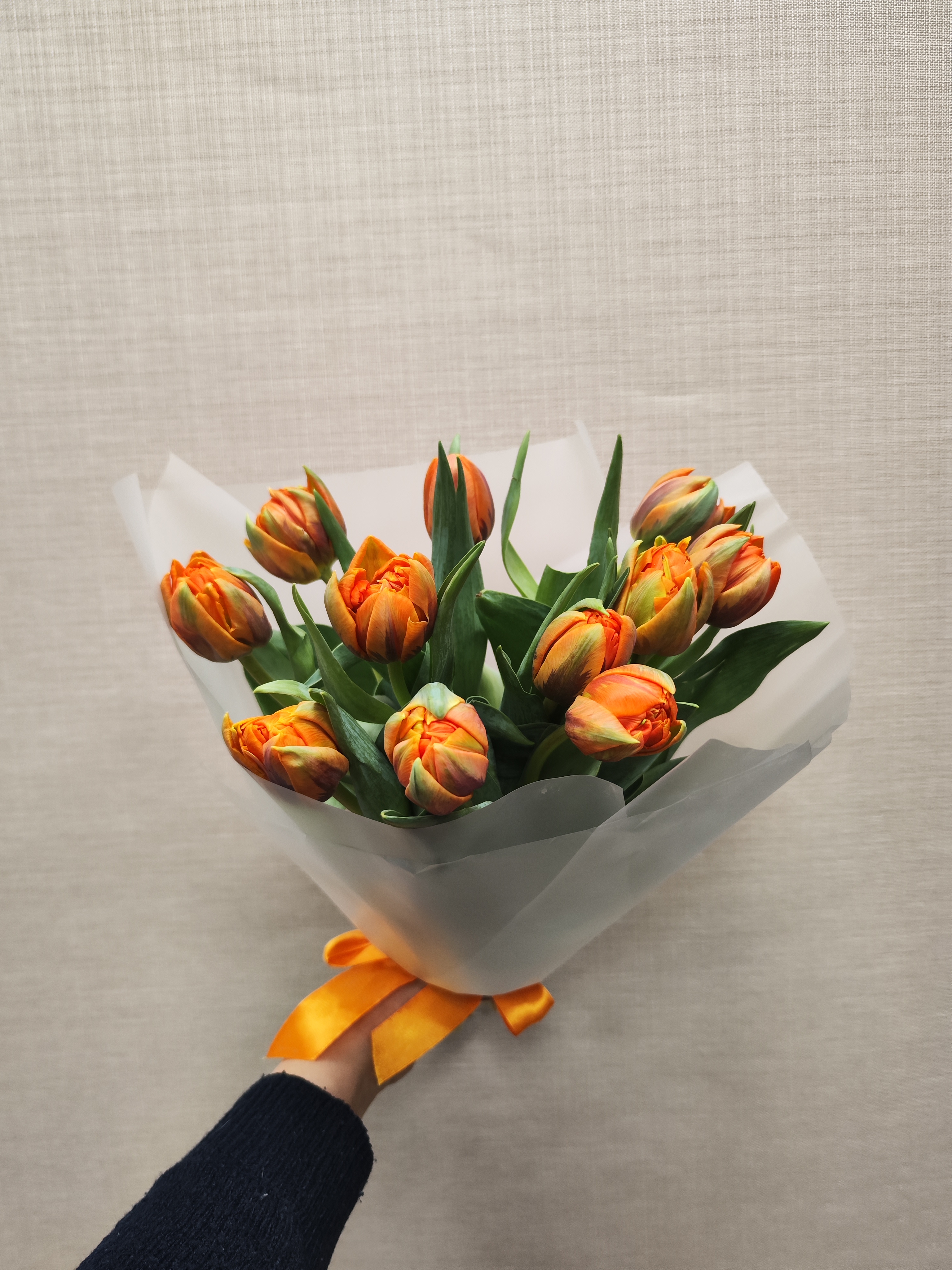 11 пионовидных тюльпанов в матовой пленке 